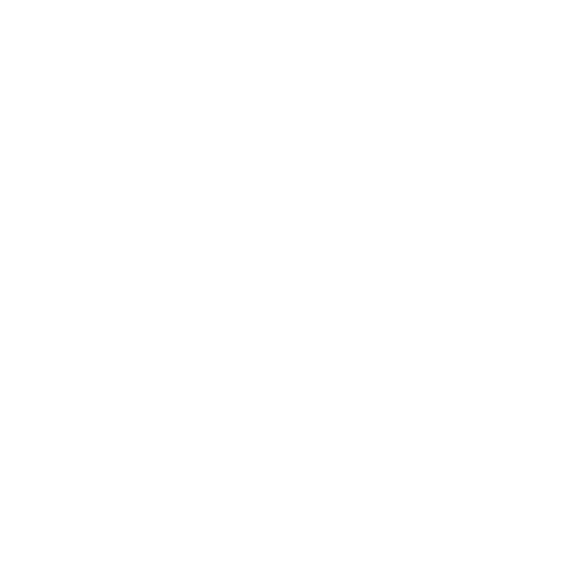 ACE INC.